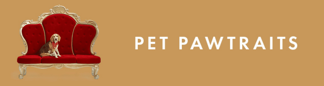 Santa Pet Photography
