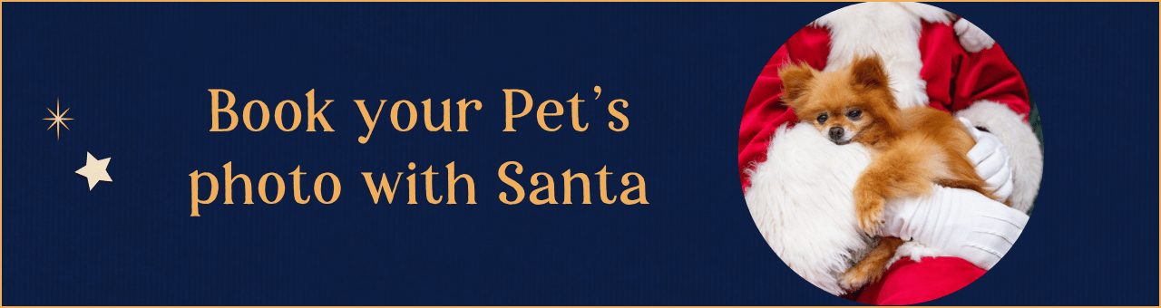 Santa Pet Photography