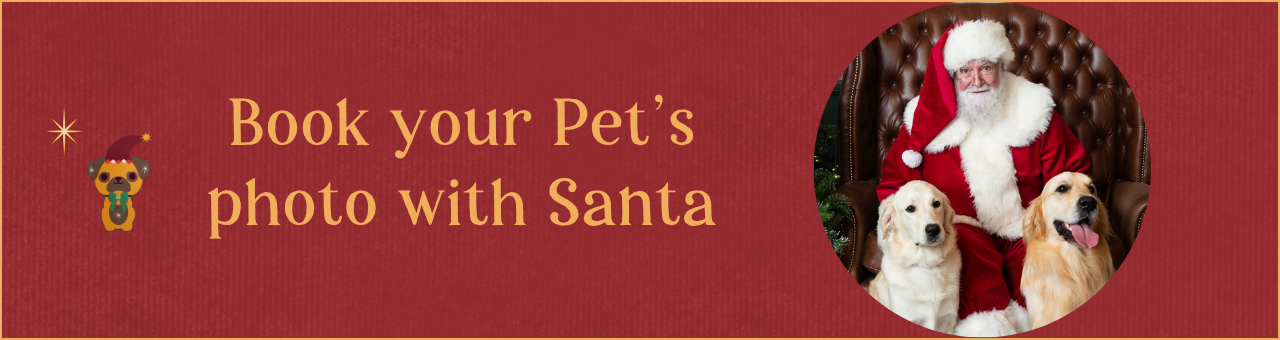 Santa Pet Photography
