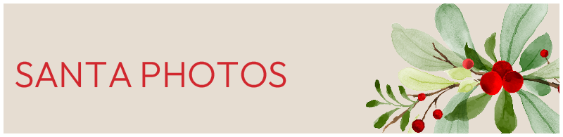 Traditional Santa Photos