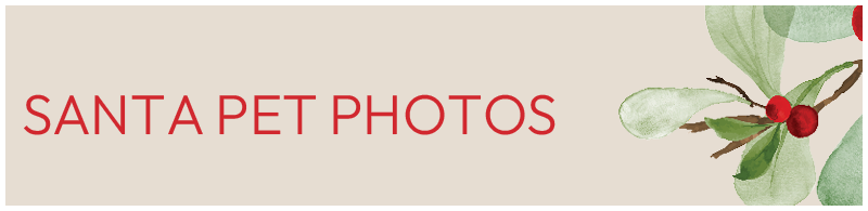 Santa Pet Photography