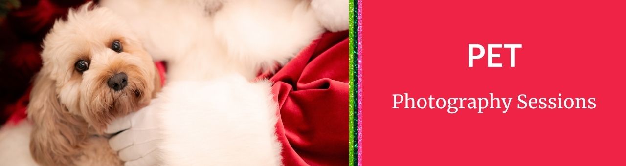 Santa Pet Photography