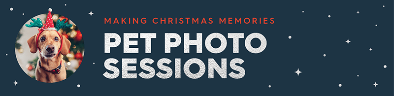 Santa Pet Photography