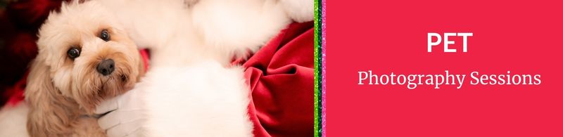Santa Pet Photography