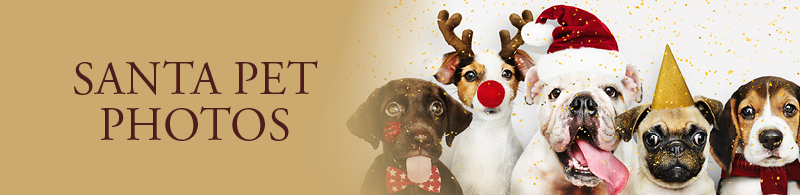 Santa Pet Photography