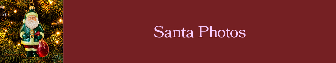 Traditional Santa Photos