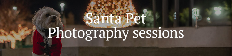 Santa Pet Photography