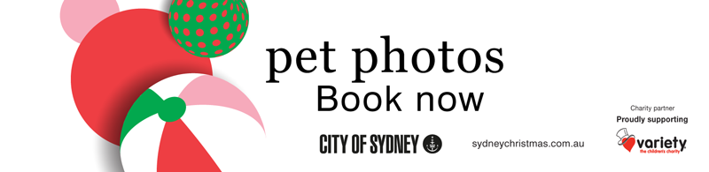 Santa Pet Photography