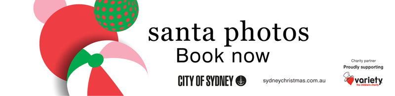 Traditional Santa Photos