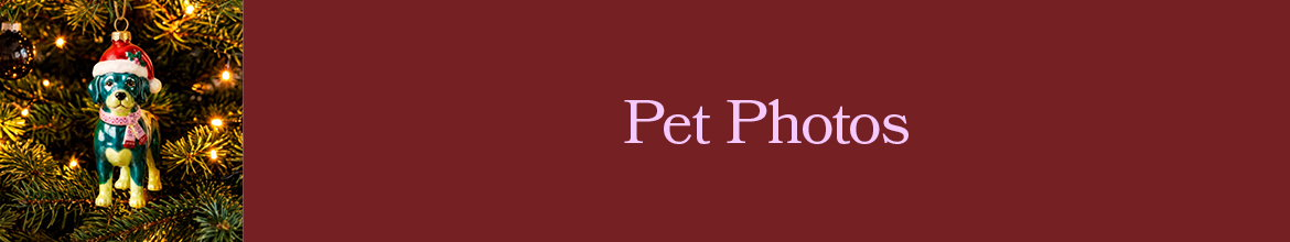 Santa Pet Photography